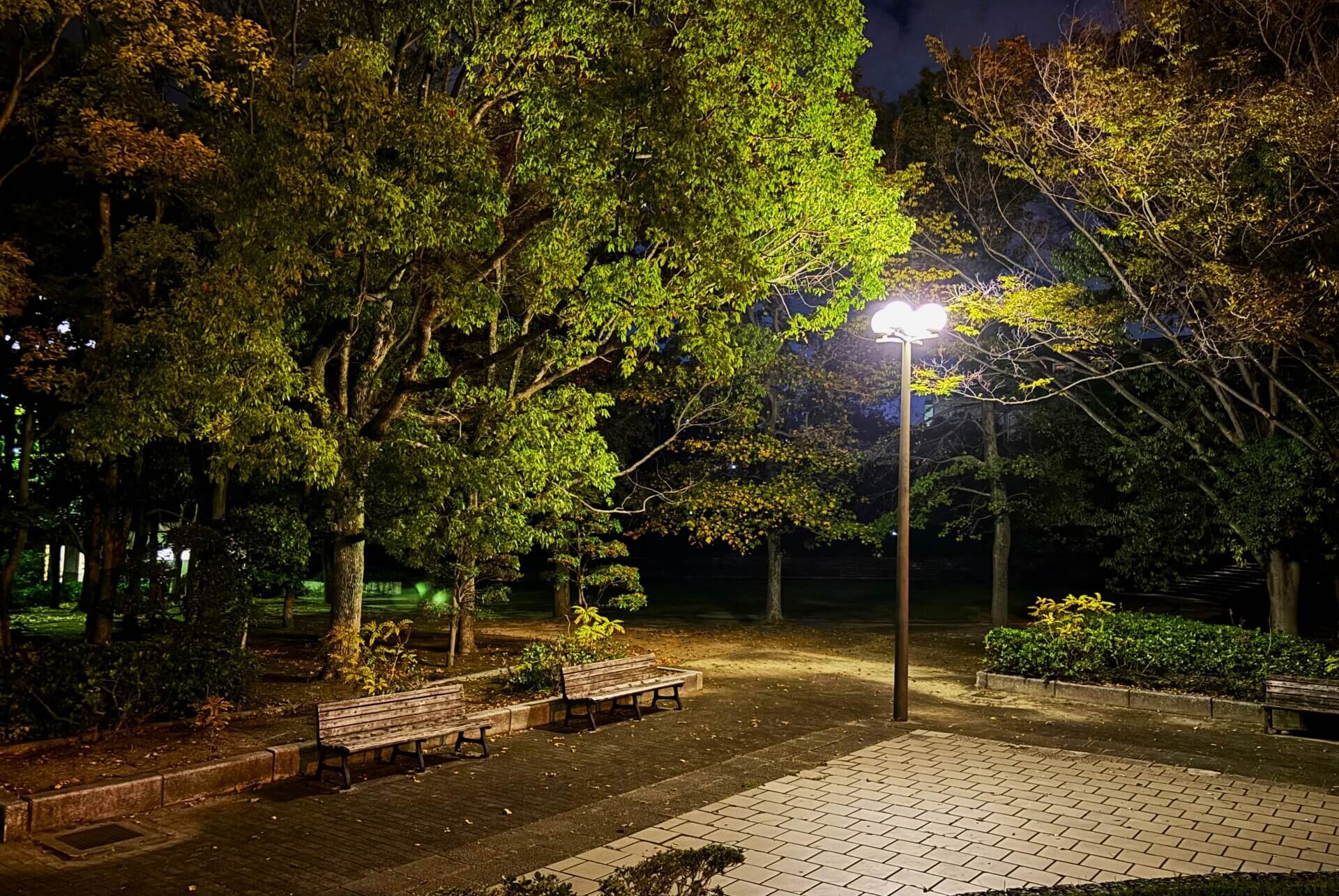 夜の公園の写真